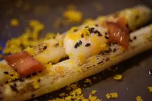 Primavera Le Diner