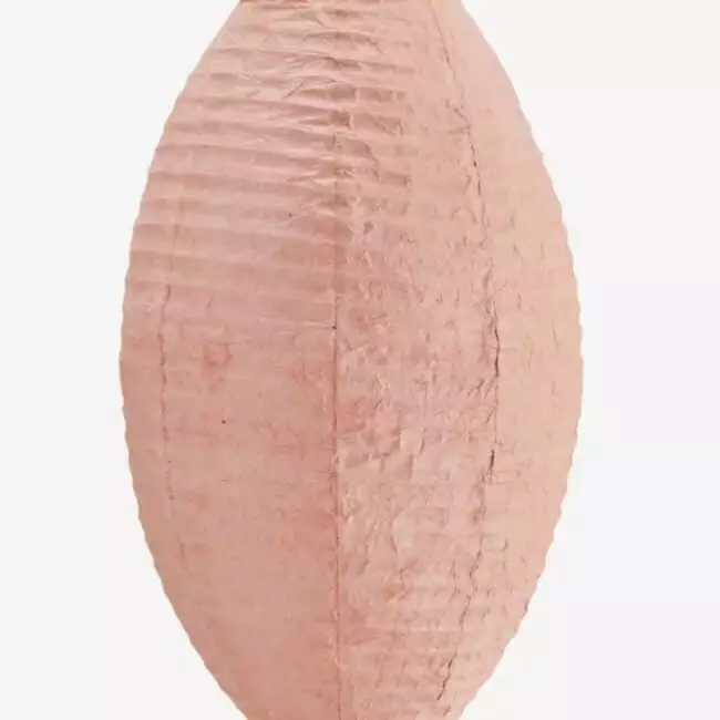 Madam Soltz paper lamp suspension shade